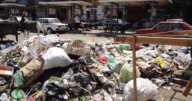 سكرتير محافظ الغربية يكلف رؤساء المدن برش المبيدات فى أماكن تجمع القمامة