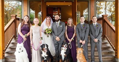 بعد البرايد ميدز.. الكلاب مع العروسين أحدث تقاليع صور الأفراح