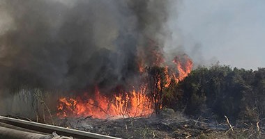 حرائق الغابات تدمر ستين منزلا فى استراليا
