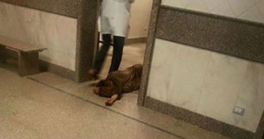 تداول صورة لمريض ملقى على الأرض دخل المستشفى الميرى بالإسكندرية