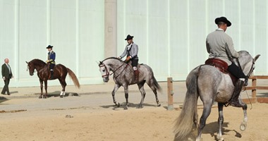 أندر وأجمل سلالات الخيول تجتمع فى المعرض الدولى للخيول فى أشبيلية الإسبانية