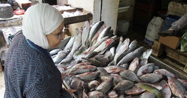 شعبة "الأسماك": انخفاض اسعار السمك بنسبة 10%