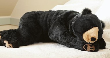 الدبة اللى دفت صاحبها.. شركة يابانية تقدم غطاء الدب لتدفئة عالية المستوى