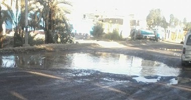 صحافة المواطن.. قارئ يناشد محافظ أسوان تطوير طريق "أسوان – القاهرة" ورفع كفائتة