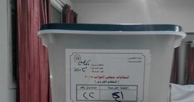 شباب الأحزاب يعلنون استعدادهم لانتخابات المحليات.. حملات توعية وبرامج تدريب لتأهيل أعضائها لمواجهة الإخوان والسلفيين..و"الوفد": الشباب "مهمش" ويجب الحوار معه.. مستقبل وطن:نتبع سياسة التأهيل ثم التمكين