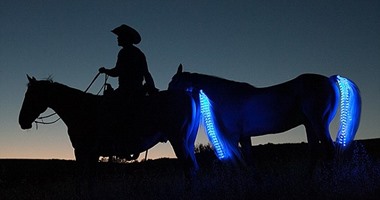 بالفيديو.. نظام ذكى جديد لحماية راكبى الخيول من السقوط والإصابات