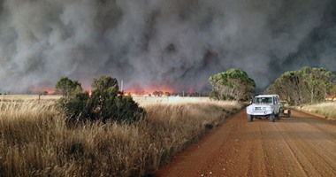 مقتل شخصين ونفوق آلاف الحيوانات فى حريق غابات فى استراليا