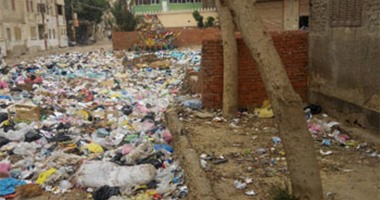 "صحافة المواطن".. سكان منطقة قحافة بطنطا يستغيثون من تلال القمامة المنتشرة بها