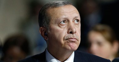 عبد الحميد سرحان عبده يكتب: مشكلة أردوغان أنه لم يقرأ التاريخ جيدا