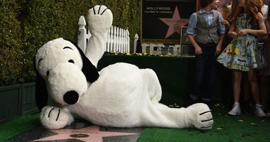 بالصور.. الكلب "سنوبى" ينضم لنجوم ممشى المشاهير فى هوليوود