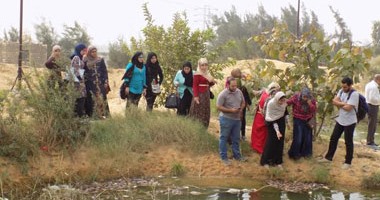 تدريب طلاب كلية زراعة القناة على المشاريع الصغيرة عمليًا بالتل الكبير