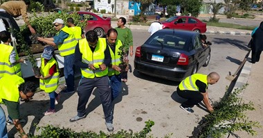 فى أول تجربة بالعالم لاستغلال الموارد المهدرة فى زراعات الشوارع.. بدء مبادرة لزراعة 50 مليون شجرة فاكهة.. صاحب المبادرة: زرعنا 423 ألف شجرة خلال 4 سنوات دون تحميل الدولة أعباء