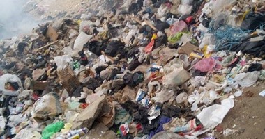 سعيد السعيد السباعى يكتب: مكافحة القمامة قضية وطنية
