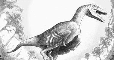 بالصور.. علماء يعثرون على حفريات للديناصورات الأكثر فتكا فى العالم