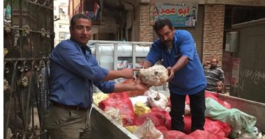 محافظة القاهرة تعدم 56 طن لحوم مصنعة و10 طن أسماك لعدم صلاحيتها 