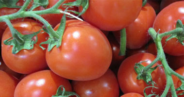 فوائد الطماطم أهمها إنقاص الوزن وعلاج الإمساك
