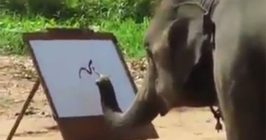 بالفيديو.. الفيل "Got Talent".. يرسم نفسه وسط الأشجار فقط فى 4 دقائق
