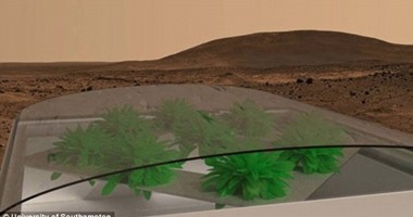 بالصور.. علماء يجرون تجارب لزراعة المريخ بالخضراوات
