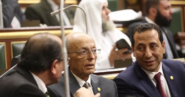 سامح سيف اليزل: "دعم مصر" سيوافق على قانون الخدمة المدنية فى جلسة اليوم