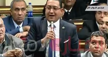 نائب يطالب بمحاكمة ناشطة: تحرض المصريين على التهلكة وتهدم جهود الدولة