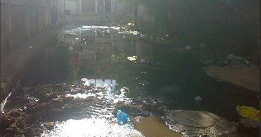 صحافة المواطن: بالصور.. محيط مدارس الصناعات بالإسكندرية يتحول لمستنقعات