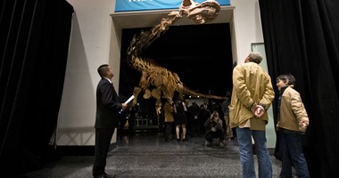 متحف فى نيويورك يعرض أكبر هيكل عظمى لديناصور