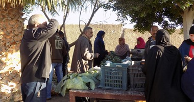 إقبال كبير على مقر جهاز تعمير سيناء بعد تخفيض أسعار الخضروات