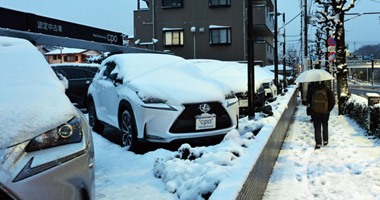 توقف حركة المرور وسط اليابان بسبب التساقط الكثيف للثلوج
