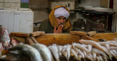 ضبط 500 كليو أسماك فاسدة داخل محل فى القاهرة