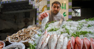 تجار أسماك: أعياد الأقباط وراء ارتفاع الأسعار.. و14 جنيها سعر كيلو البلطى