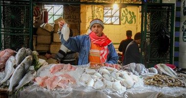 "التموين" تطرح منتجات الأسماك بتخفيض 30 % استعداداً لاحتفالات شم النسيم