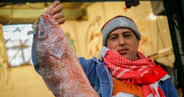 "الزراعة": حملات تفتيشية على منافذ بيع الأسماك خلال الاحتفال بشم النسيم