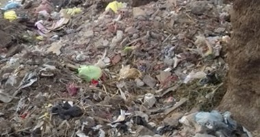 وزير البيئة: مصر ضمن أسوأ 10 دول فى التلوث بسبب الأتربة والقمامة