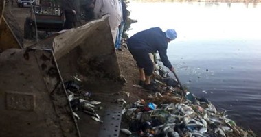 بالصور.. انتشال 81 طنا من الأسماك النافقة والتخلص منها بالدفن فى البحيرة