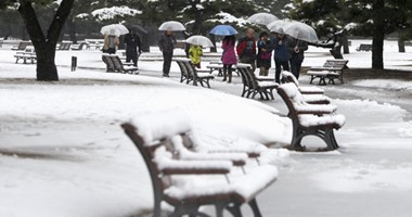 التشيك: رياح قوية وثلوج يتسببان في اضطرابات بجميع أرجاء البلاد