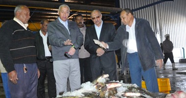 محافظ أسوان يوجه بالارتقاء بمصنع تعبئة وتغليف الأسماك وزيادة إنتاجه