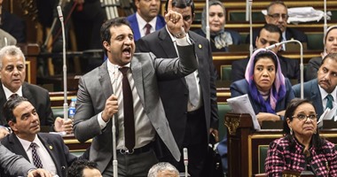 ننشر نص حكم "النقض" بتنصيب عمرو الشوبكى فى البرلمان بدلا من أحمد مرتضى