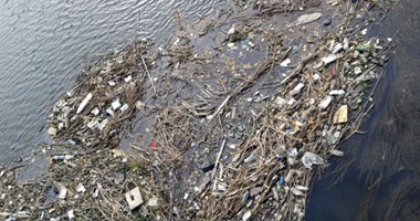 "صحافة المواطن"..قارئ يشارك بصور لتلوث مياه النيل أسفل كوبرى عباس بالجيزة