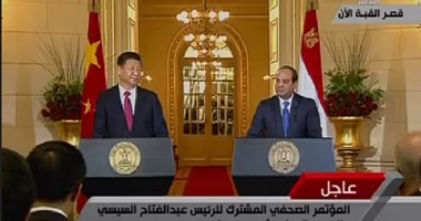 أستاذ بجامعة الإسكندرية:علاقة مصر السياسية بالصين جيدة منذ عهد الدولة الإسلامية