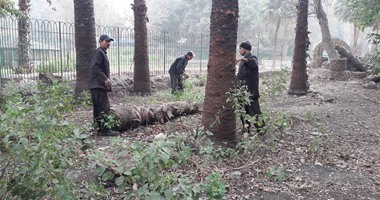 بالصور.. بدء تطوير حديقة حيوان الجيزة بهدف الوصول للمعايير العالمية