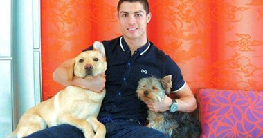 بالصور..من رونالدو لسانشيز.. 10 لاعبين فى أوروبا يعشقون الكلاب