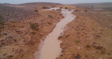 أمطار غزيرة على شمال سيناء تعوق حركة السير بالشوارع