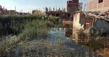 "صحافة المواطن": بالصور : مياه الصرف الصحى تغرق منازل قرية فنارة بالإسماعيلية