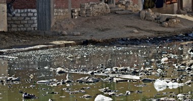 بالصور. القمامة ومياه الصرف تهدد حياة ألف أسرة بقرية درنكة