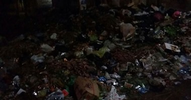 صحافة المواطن..  بالصور: القمامة تحاصر الشوارع الرئيسية بكفر سرنجا بالدقهلية