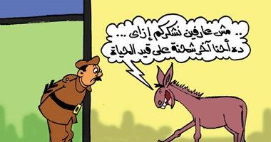 حملة إنقاذ الحمير قبل ذبحها.. فى كاريكاتير "اليوم السابع"