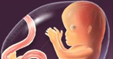دراسة: نقص حمض الفوليك عند الحامل يسبب عيوبا فى الأنبوب العصبى للأجنة