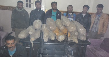ضبط أخطر تشكيل عصابى للاتجار بالمخدرات وبحوزته 60 كيلو بانجو بالمنوفية