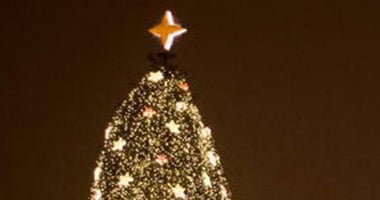 بالصور أجمل 10 شجرات لعيد الميلاد حول العالم اليوم السابع