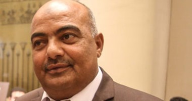 النائب حاتم عبد الحميد يطالب بزيادة موازنة الصحة لـ200 مليار جنيه
